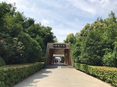 -合肥三国新城遗址公园