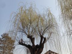 -丝绸小镇荻港古村