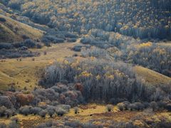 -塞罕坝国家级自然保护区