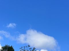 -野象谷景区