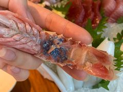 -Mr·Fish鱼鲜生海鲜放题(银泰in99店)