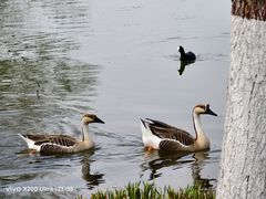-西安浐灞国家湿地公园