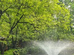 -太阳宫公园
