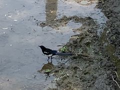 -坝河休闲公园