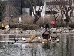 -太阳宫公园
