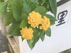 -宅里香.自然餐厅(湘大店)