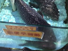 -渔民新村(番禺总店)