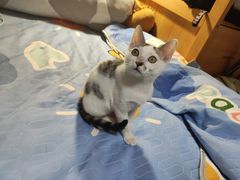 -平行世界·猫咖(首经贸店)