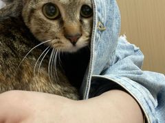 -瑞派康怡24h宠物医院·犬猫医疗中心·微创绝育(瑞景分院)
