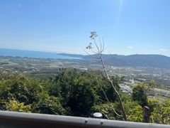 -三亚亚龙湾人间天堂鸟巢度假村