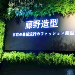 点击看大图 -藤野造型