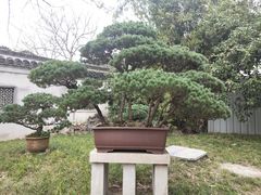 -水绘园