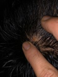 -BHG Hair Salon