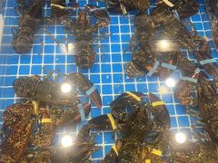 -隐厨·海鲜大排档·老鲁菜(恒通路店)