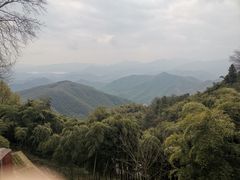 -莫干山风景区