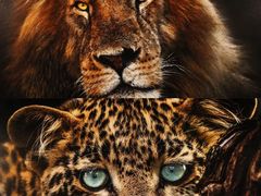 -罗红摄影艺术馆