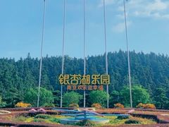 -南京银杏湖乐园