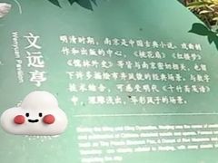 -北极阁公园