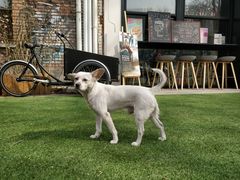 -DK45丹麦家居生活馆·依诺维绅(798店)