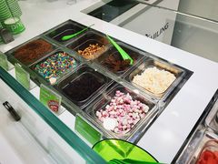 椰子碎片-Salud撒露欧洲冻酸奶(蓝色港湾店)