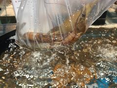 -盒马鲜生(曜一城店)