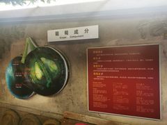 -青岛葡萄酒博物馆