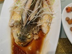 -陶然饺子城(奥体中路店)