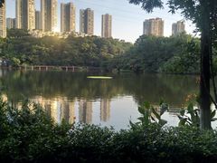 -重庆彩云湖湿地公园