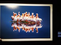 -罗红摄影艺术馆