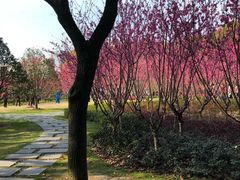 -上海市龙华烈士陵园