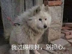 -柯达靓之彩影像网络(明瓦廊店)