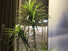 -新辣道鱼火锅(航天万源店)