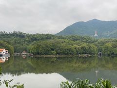-深圳仙湖植物园