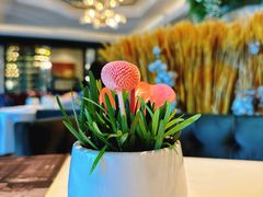 -上海总会SHANGHAICLUB(兴业太古汇店)