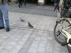 -圣安娜纪念柱