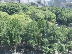 -上海国际饭店