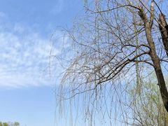 -洋湖国家湿地公园