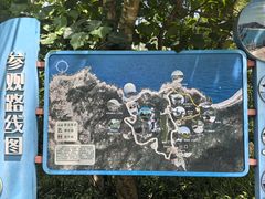 -广东惠东海龟国家级自然保护区
