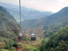 -王顺山国家森林公园