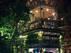 -Rainforest