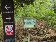 -华侨城湿地公园