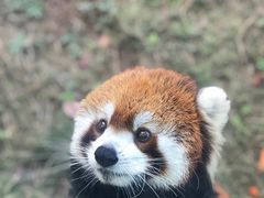 -无锡动物园·太湖欢乐园