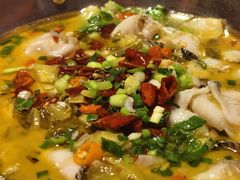 -龙师傅卤炒(天马店)