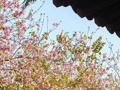 -华农酸奶文化馆