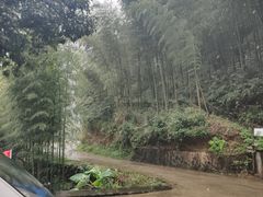 -白云源风景区
