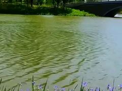-重庆彩云湖湿地公园