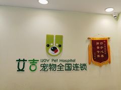 -艾吉宠物医院·疑难杂症转诊中心·猫友好(碧江路院)