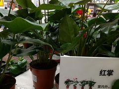 -IKEA宜家家居(南京商场)
