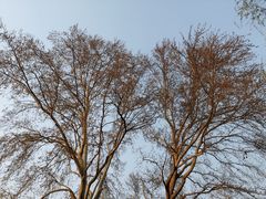 -趵突泉景区