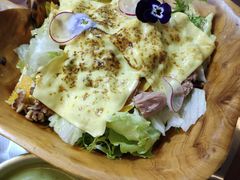 -南山酒肆(南山董事绘店)